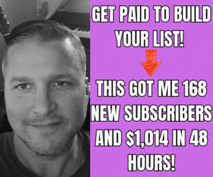 Get Paid To Build Your List